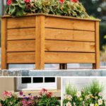 Planter Boxes