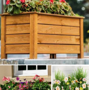 Planter Boxes