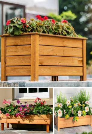 Planter Boxes